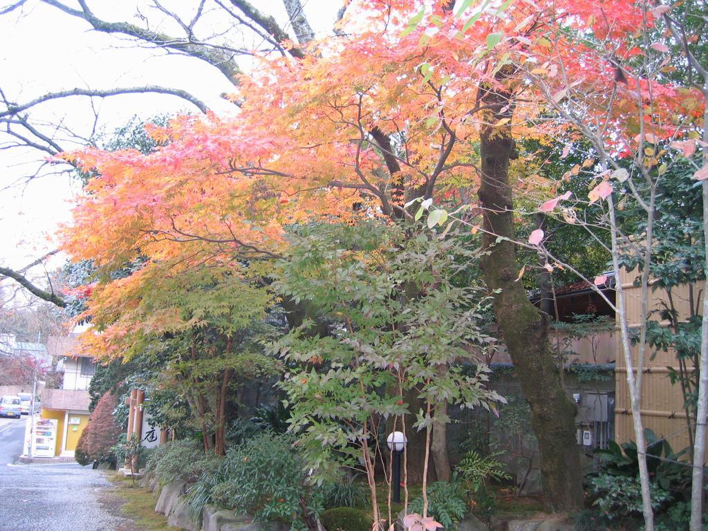 Gyokutei Hotel Hakone Buitenkant foto