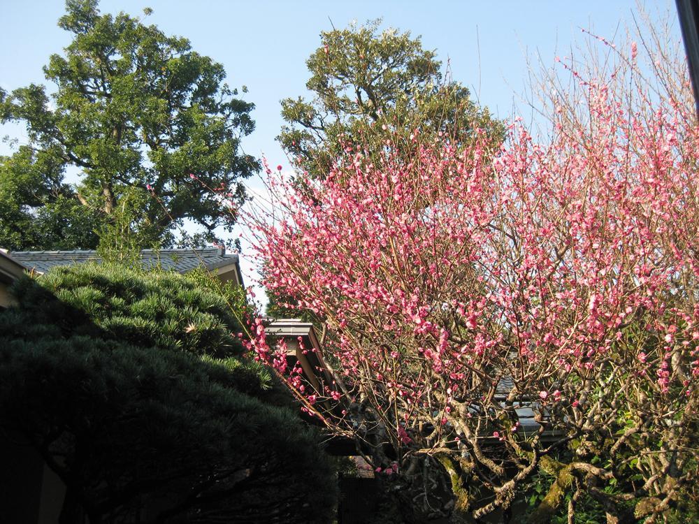 Gyokutei Hotel Hakone Buitenkant foto